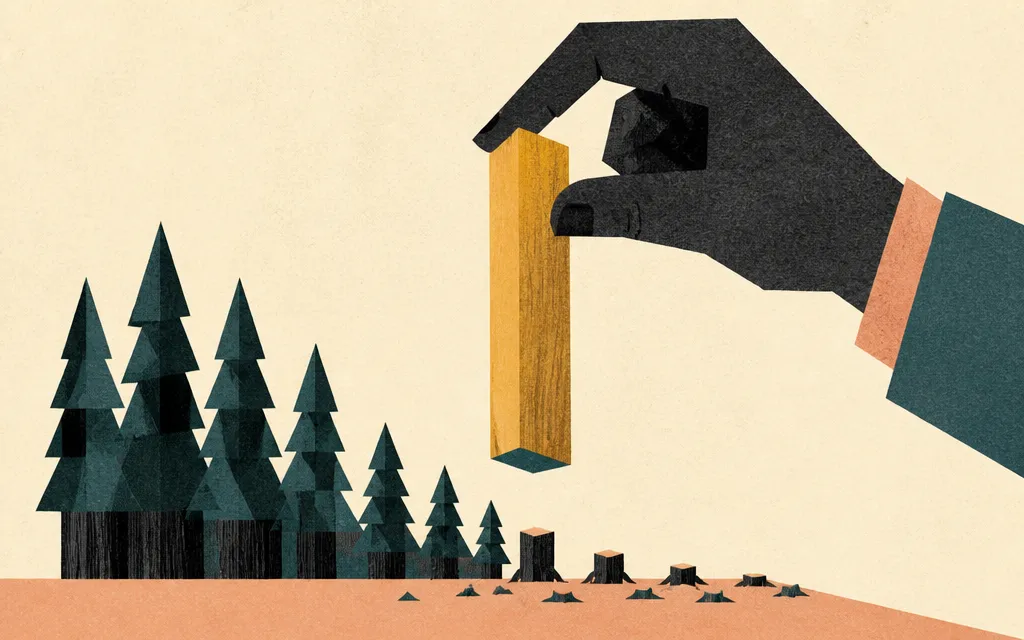 Editorial illustration for “Weyerhaeuser is shrinking, and someone is still paying 52.4x for the earnings”